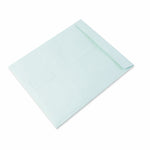 Large stationery envelope for document organization