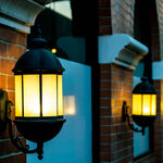 Versatile 5W LED bulb suitable for various rooms, offering bright cool white light.