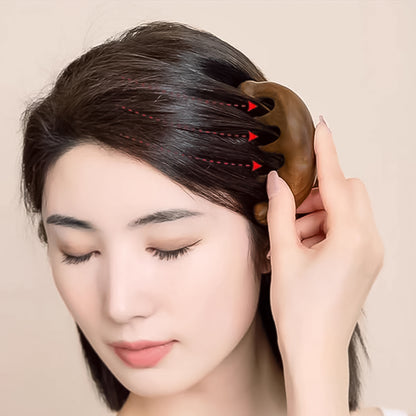 Scalp Relaxing Manual Head Massager Comb (1 Pc)