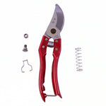 Garden shears on white background for size reference