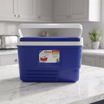 Blue insulated cooler box for hot and cold storage