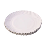 Disposable leak-resistant paper plates ideal for catering
