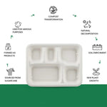 Stacked compostable 5-compartment lunch plates designed for easy storage